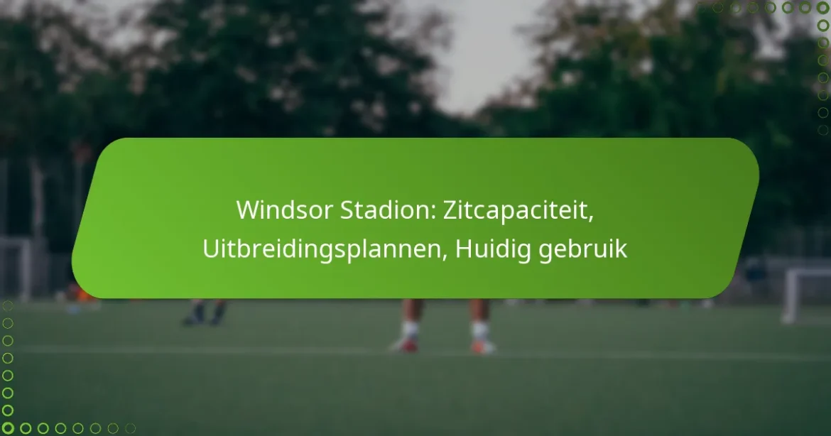Windsor Stadion: Zitcapaciteit, Uitbreidingsplannen, Huidig gebruik