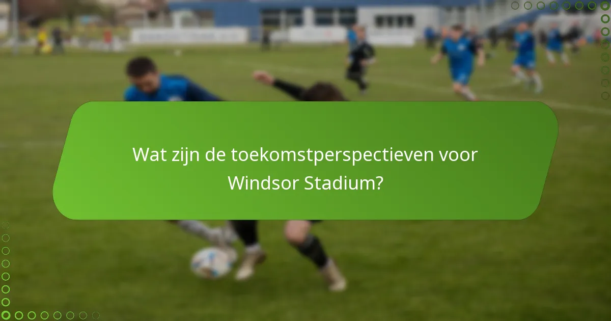 Wat zijn de toekomstperspectieven voor Windsor Stadium?